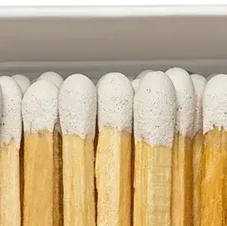 Enchanted Forest Matches