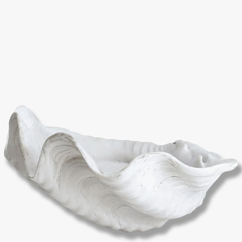 SHELL deco - large, White