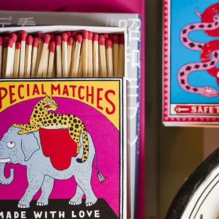 Elephant and Cheetah Matches