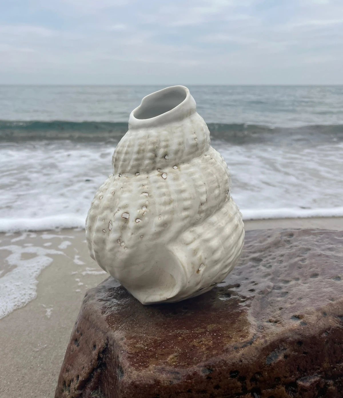 Konkylie Vase