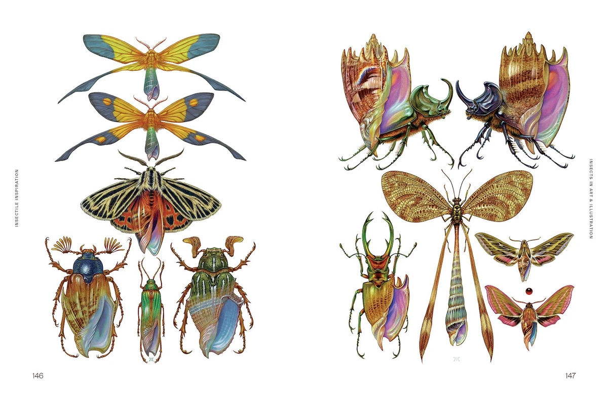 Insectile Inspiration - Insekter i kunst og illustrasjon