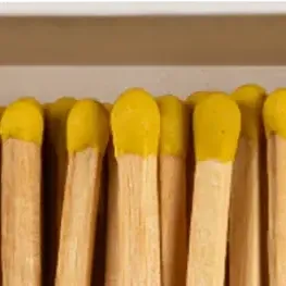 Birdy Matches