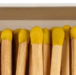 The Bee Matches