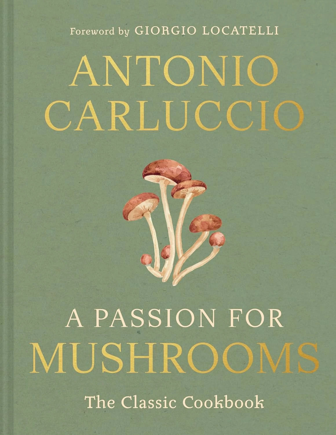 A passion for Mushrooms