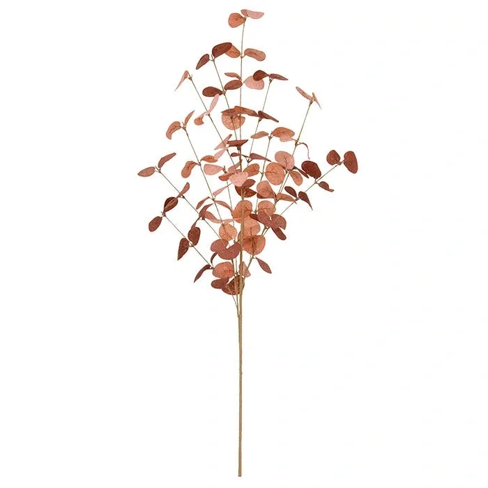 Eukalyptus H70 cm Cerise